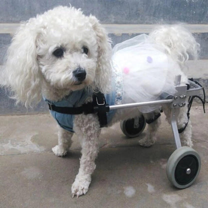 Dog Wheelchair - Fully Adjustable